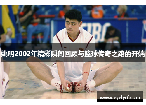 姚明2002年精彩瞬间回顾与篮球传奇之路的开端