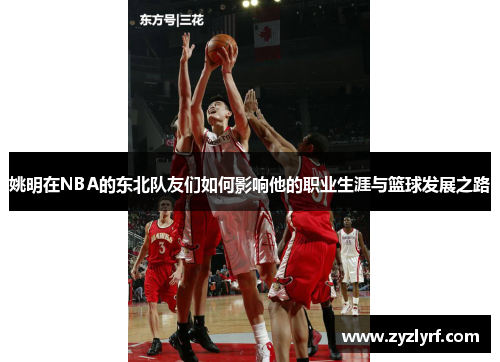 姚明在NBA的东北队友们如何影响他的职业生涯与篮球发展之路
